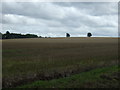 Stubble field near Purplehill Farm