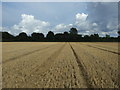 Stubble field near Stanstead Hall