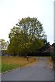 Path to Central Hall Bridge and Health Centre