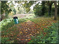 Footpath - Bad Bargain Lane