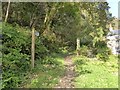 Footpath running north from Trenarth Bridge