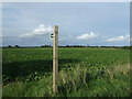 Footpath off Straight Road