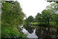 The Wharfe flowing past Greenwood Wood