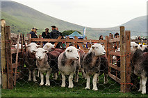 NY1808 : Wasdale Show 2015 by Peter Trimming