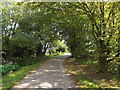 TM0614 : Entrance of Cudmore Grove Country Park by Geographer