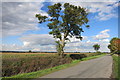 Lane near Little Meadle