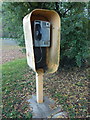 Ashby de la Launde: payphone in Church Avenue