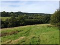 View towards Bottles Hill and Greenland Bottom, Zeals, Wiltshire