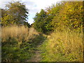 Footpath to Grangewood Farm