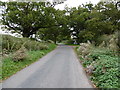 Red Lane leading out of Shipley