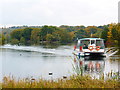 SJ8640 : Trentham Lake and boat by Chris Allen