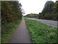 Path beside Newmarket Road (A1303)