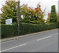 Directions sign in a Bath Road hedge, Stroud