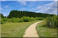 Footpath in Kilkenny Lane Country Park, Carterton, Oxon