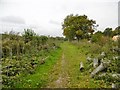 Calmore, bridleway