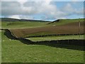 Fields and dykes, Tundergarth