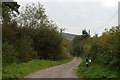 Lane to Coombe Farm, Brighstone