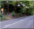 Warning sign - traffic lights ahead, Woodchester