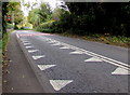 Crocodile teeth markings on Bath Road,  Rodborough