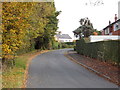 The Avenue - viewed from The Approach