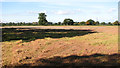 Stubble field south of Church Lane