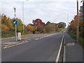 York Road - viewed from Scholes Lane