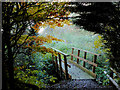 Footbridge south-east of Chesterton, Shropshire