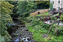 SD5153 : The River Wyre at Lower Dolphinholme Bridge by Ian Greig