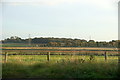 Fields beside Jacksmere Lane, Scarisbrick