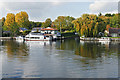 Shepperton Marina channel