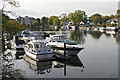 Moored boats, Walton-on-Thames