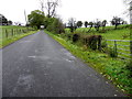 Moynaghan Road, Rahall / Coolaness