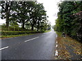 H2457 : Enniskillen Road, Castle Irvine Demesne by Kenneth  Allen
