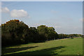 Marden Hillboxes Farm