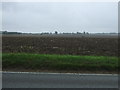 Farmland east off Norwich Road