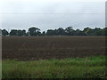 Farmland, Stoke Ash