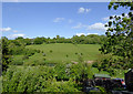 Riverside pasture south-east of Highley, Shropshire