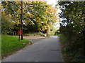 Lane north of Manton