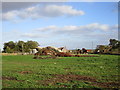 Timber stack near Low Farm