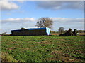 Sheeted bales near Low Farm