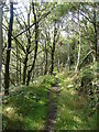 Stansfield Mill Lane, Norland