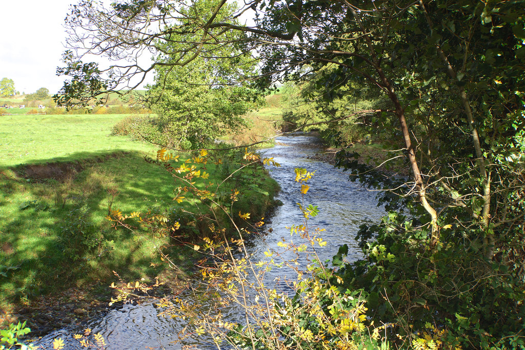 The River Dane westwards © Anthony O'Neil :: Geograph Britain and Ireland