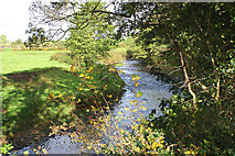 SJ9263 : The River Dane westwards by Anthony O'Neil