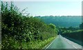 Downhill stretch on Selborne Road