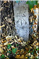 Benchmark on concrete post, Rugby Road