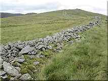 NY3710 : Remains of a wall on the Dove Crag ridge by Peter S