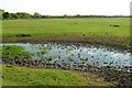 Long Pond, Wolvercote Common