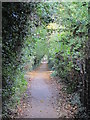 Footpath between Old Park Avenue and Enfield Town Park