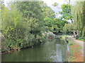 The New River (old course) at the southwestern boundary of Enfield Park (3)