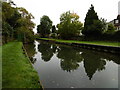 The New River near Hazelwood Lane